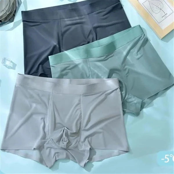 【Buy 2 Get 1 Free】 –2026 HOT SALE🔥Men's Stretchable Ice Silk Underwear