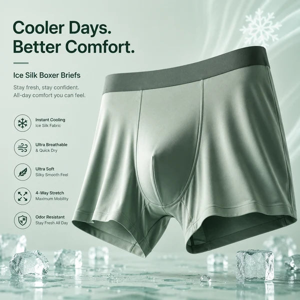 【Buy 2 Get 1 Free】 –2026 HOT SALE🔥Men's Stretchable Ice Silk Underwear