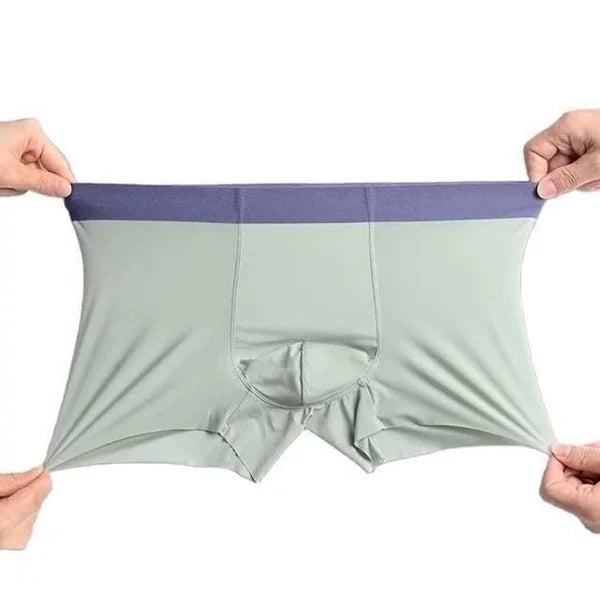 【Buy 2 Get 1 Free】 –2026 HOT SALE🔥Men's Stretchable Ice Silk Underwear