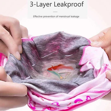⏳Last Day-Buy 1 Get 3 Packs!!🔥2026 Best-Selling🏆 HIGH WAIST LEAK PROOF PANTIES
