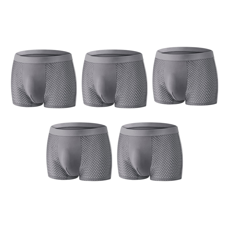 【Buy 3 Get 2 Free】-2026 HOT SALE🔥-+ Premium Leakproof lceSilk Mesh Men's Boxer