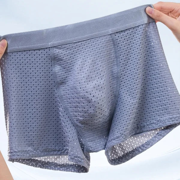 🔥Buy two, get one free! 2026 new model 🔥 Nylon silk breathable men's underwear